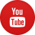 Stáhnout video